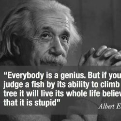 Albert-Einstein-Quotes-2